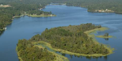 Tuscaloosa Area Guide - Bama Bed and Breakfast